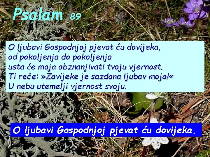 Psalam 89 O ljubavi Gospodnjoj pjevat ću dovijeka, od pokoljenja do pokoljenja usta će