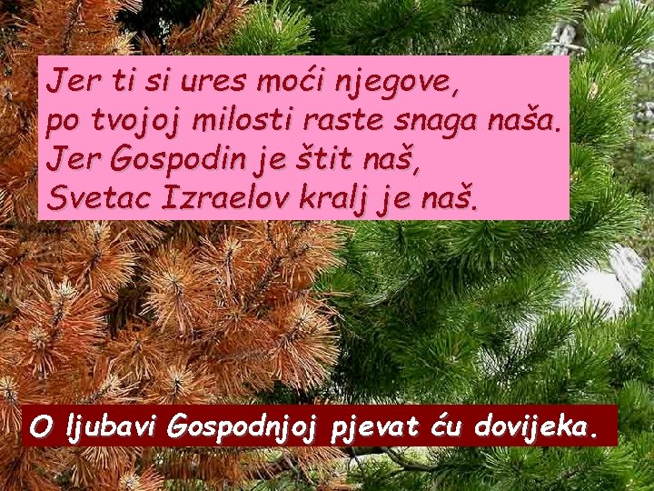 Jer ti si ures moći njegove, po tvojoj milosti raste snaga naša. Jer Gospodin