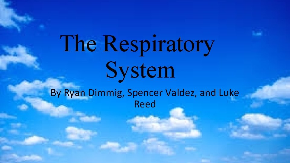 The Respiratory System By Ryan Dimmig, Spencer Valdez, and Luke Reed 