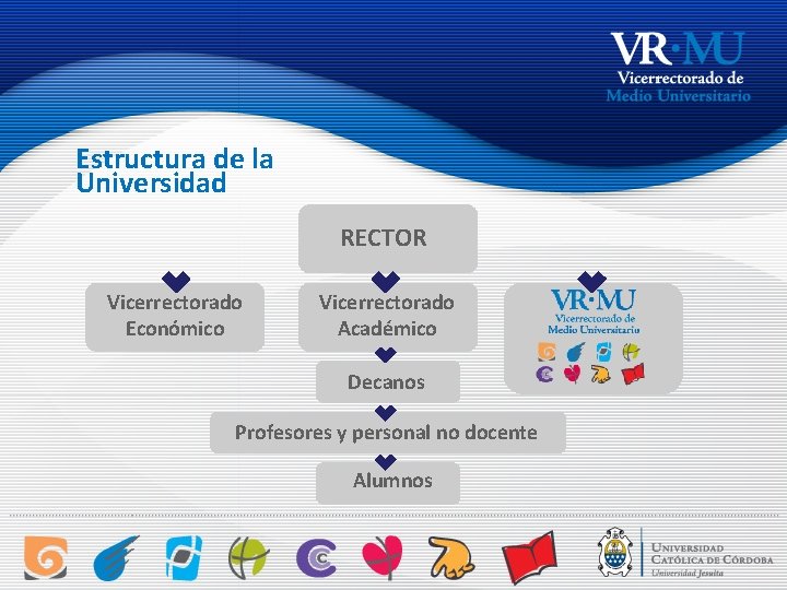 Estructura de la Universidad RECTOR Vicerrectorado Económico Vicerrectorado Académico Decanos Profesores y personal no