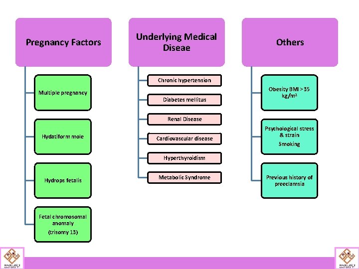 Pregnancy Factors Underlying Medical Diseae Others Chronic hypertension Multiple pregnancy Diabetes mellitus Obesity BMI>