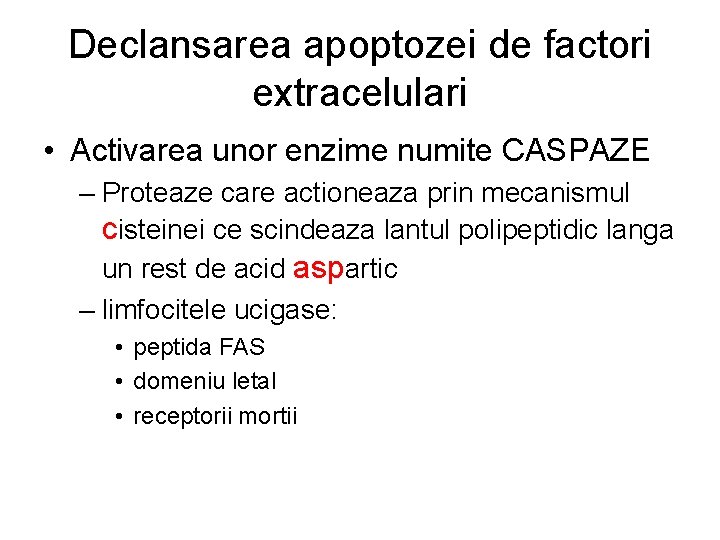 Declansarea apoptozei de factori extracelulari • Activarea unor enzime numite CASPAZE – Proteaze care