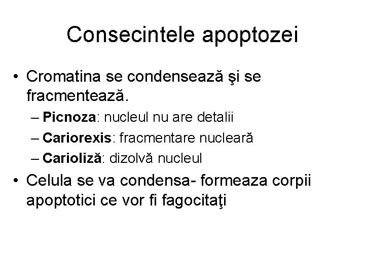 Consecintele apoptozei • Cromatina se condensează şi se fracmentează. – Picnoza: nucleul nu are