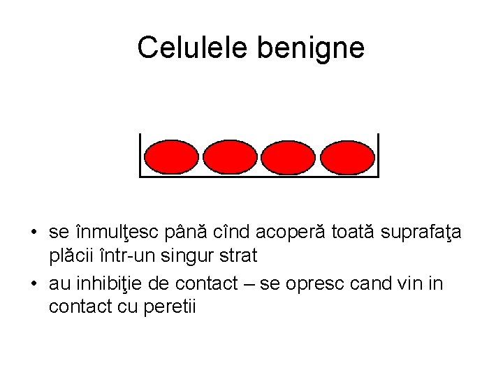 Celulele benigne • se înmulţesc până cînd acoperă toată suprafaţa plăcii într-un singur strat