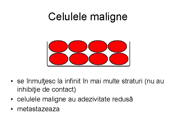 Celulele maligne • se înmulţesc la infinit în mai multe straturi (nu au inhibiţie