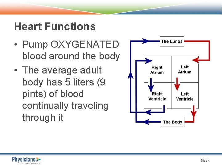 Heart Functions • Pump OXYGENATED blood around the body • The average adult body