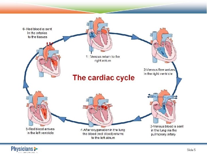 Slide 5 