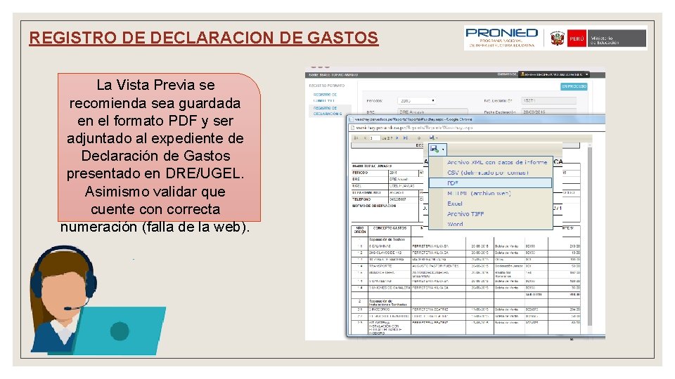 REGISTRO DE DECLARACION DE GASTOS La Vista Previa se recomienda sea guardada en el