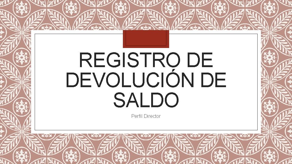 REGISTRO DE DEVOLUCIÓN DE SALDO Perfil Director 