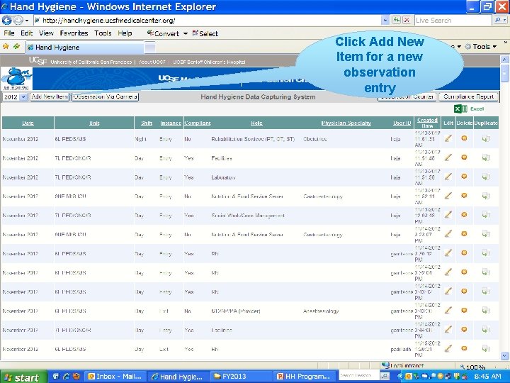 Click Add New Item for a new observation entry 