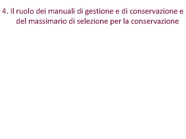 4. Il ruolo dei manuali di gestione e di conservazione e del massimario di