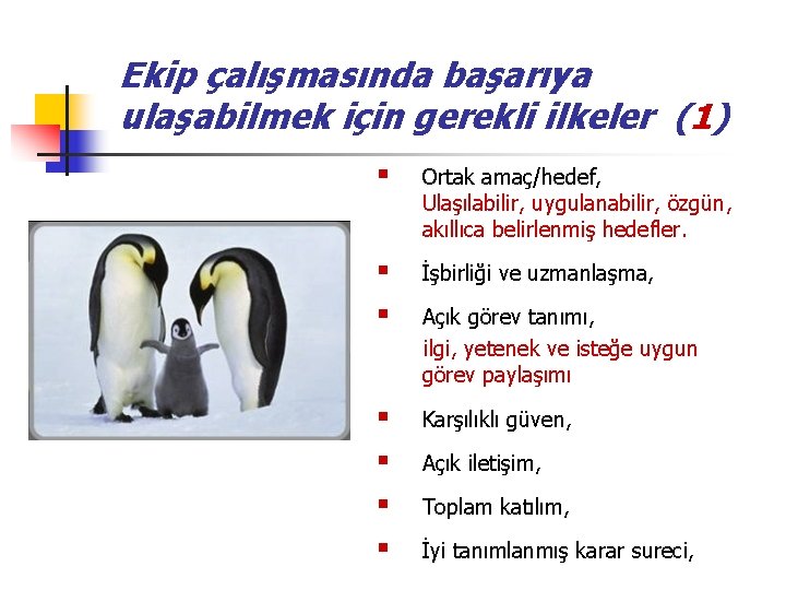 Ekip çalışmasında başarıya ulaşabilmek için gerekli ilkeler (1) § Ortak amaç/hedef, Ulaşılabilir, uygulanabilir, özgün,