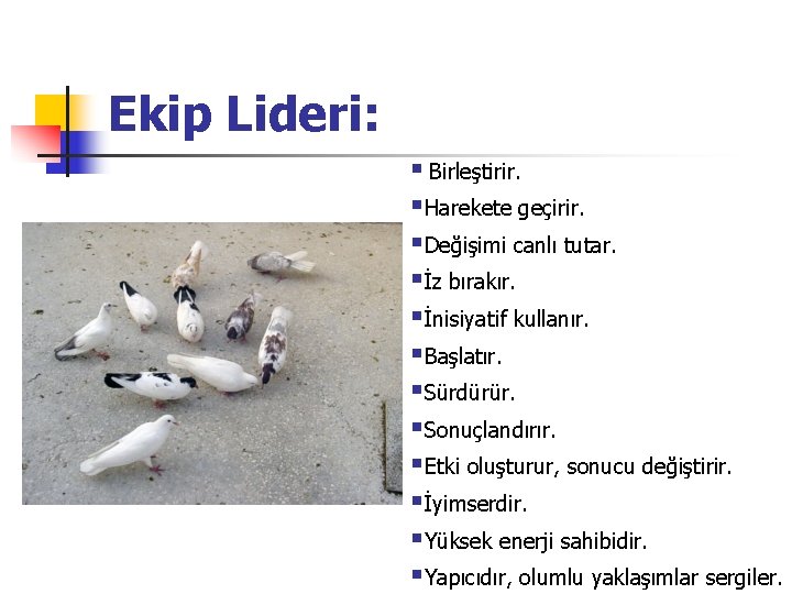 Ekip Lideri: § Birleştirir. §Harekete geçirir. §Değişimi canlı tutar. §İz bırakır. §İnisiyatif kullanır. §Başlatır.