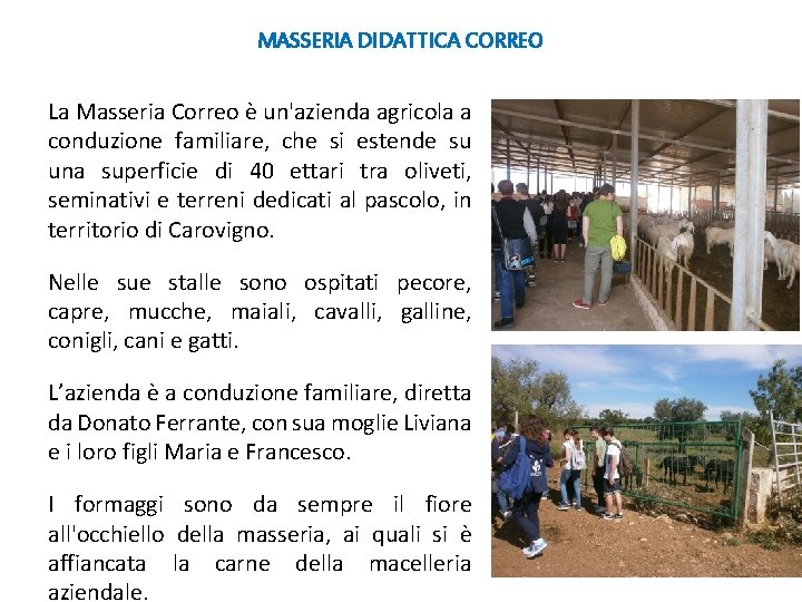 MASSERIA DIDATTICA CORREO La Masseria Correo è un'azienda agricola a conduzione familiare, che si