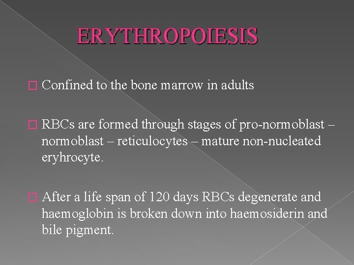 ERYTHROPOIESIS � Confined to the bone marrow in adults � RBCs are formed through