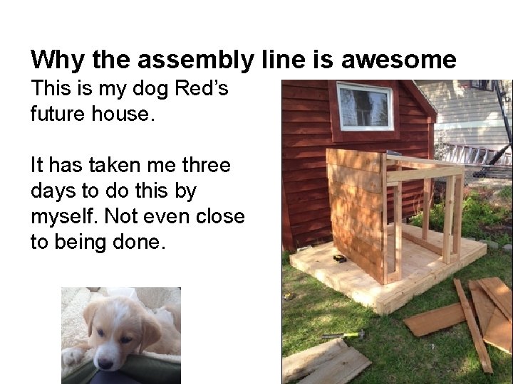 Why the assembly line is awesome This is my dog Red’s future house. It