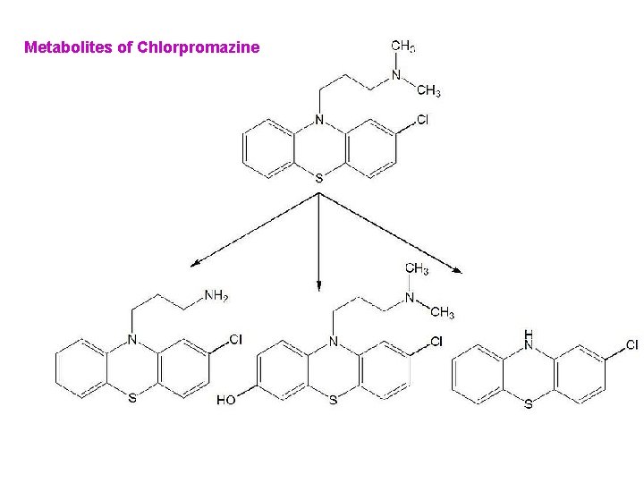 Metabolites of Chlorpromazine 