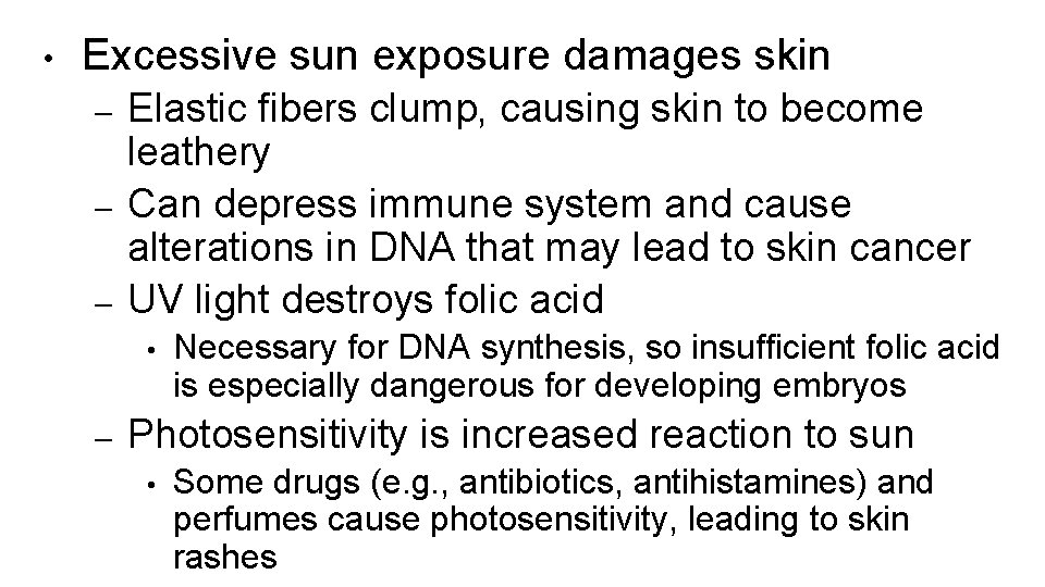  • Excessive sun exposure damages skin – – – Elastic fibers clump, causing