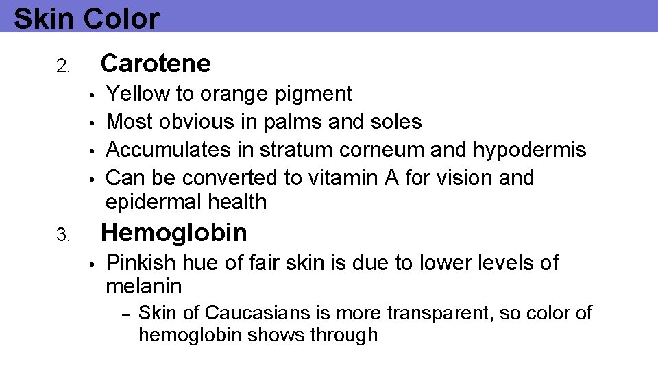 Skin Color Carotene 2. • • Yellow to orange pigment Most obvious in palms