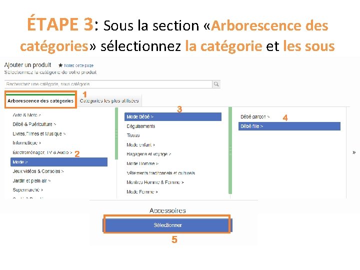 ÉTAPE 3: Sous la section «Arborescence des catégories» sélectionnez la catégorie et les sous