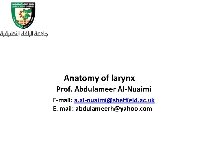 Anatomy of larynx Prof. Abdulameer Al-Nuaimi E-mail: a. al-nuaimi@sheffield. ac. uk E. mail: abdulameerh@yahoo.