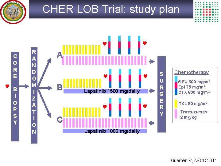 CHER LOB Trial: study plan C O R E B I O P S