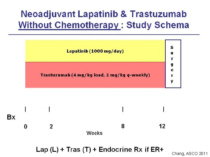 Chang, ASCO 2011 