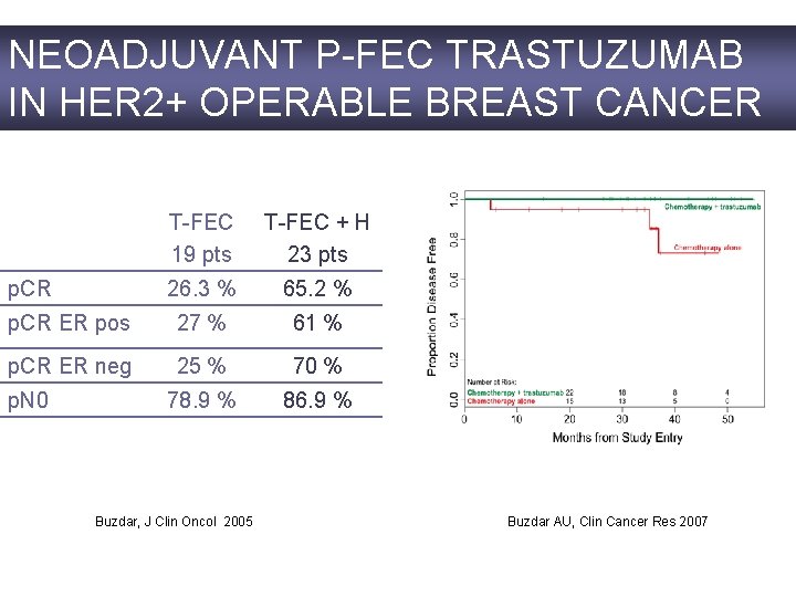 NEOADJUVANT P-FEC TRASTUZUMAB IN HER 2+ OPERABLE BREAST CANCER T-FEC 19 pts T-FEC +