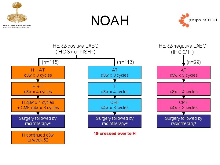 NOAH HER 2 -positive LABC (IHC 3+ or FISH+) (n=115) HER 2 -negative LABC