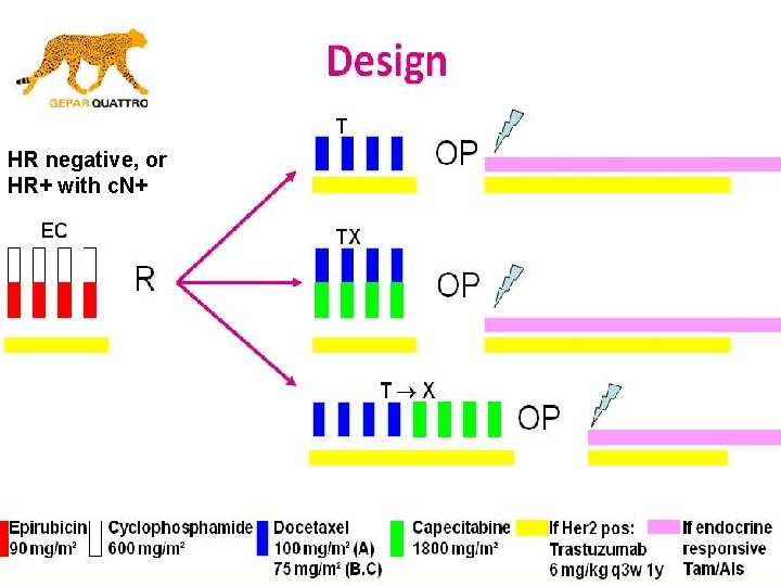 HR negative, or HR+ with c. N+ 