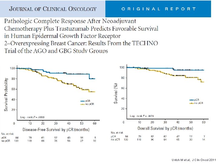 Untch M et al, J Clin Oncol 2011 