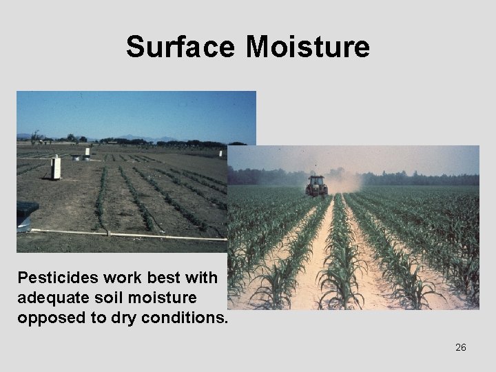 Surface Moisture Pesticides work best with adequate soil moisture opposed to dry conditions. 26