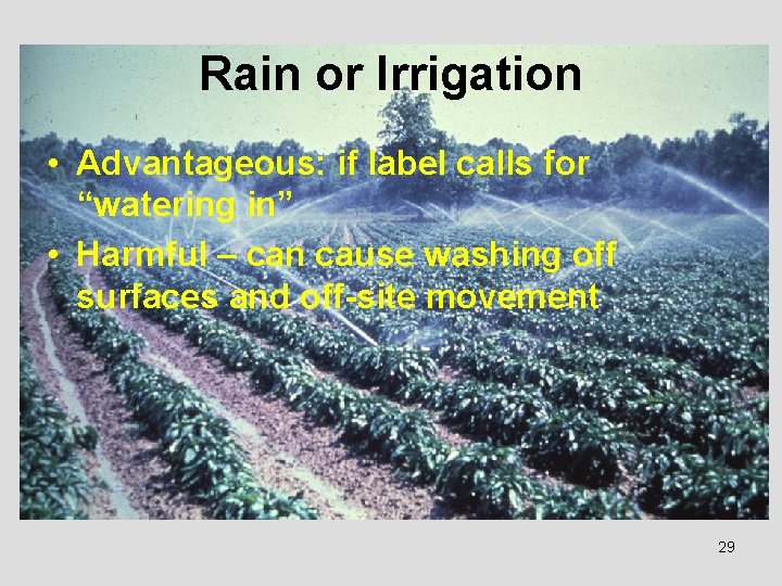 Rain or Irrigation • Advantageous: if label calls for “watering in” • Harmful –
