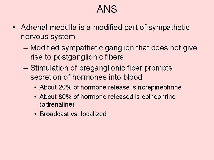 ANS • Adrenal medulla is a modified part of sympathetic nervous system – Modified ANS • Adrenal medulla is a modified part of sympathetic nervous system – Modified