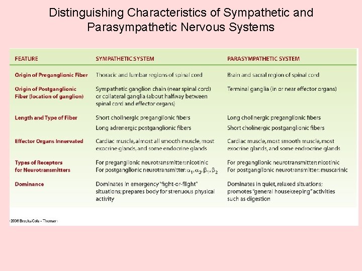Distinguishing Characteristics of Sympathetic and Parasympathetic Nervous Systems Distinguishing Characteristics of Sympathetic and Parasympathetic Nervous Systems