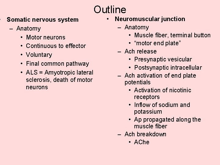 • Somatic nervous system – Anatomy • Motor neurons • Continuous to effector • Somatic nervous system – Anatomy • Motor neurons • Continuous to effector