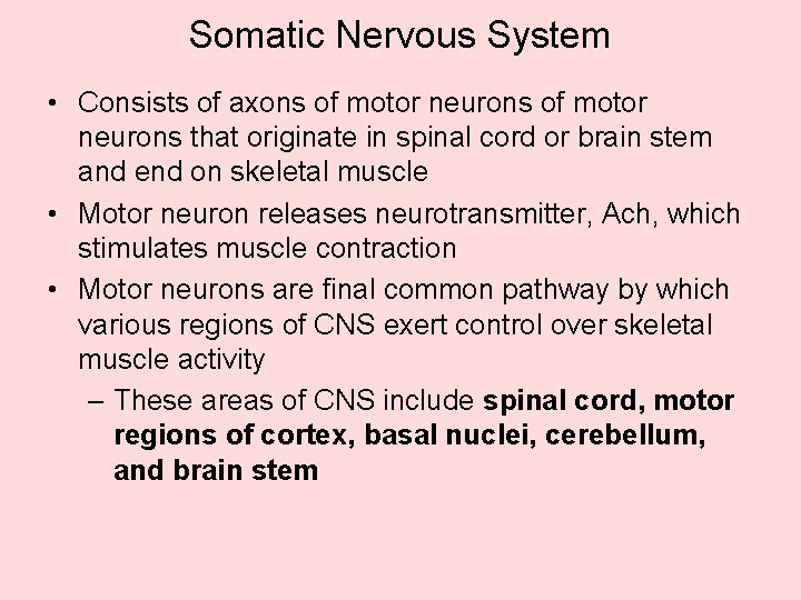 Somatic Nervous System • Consists of axons of motor neurons that originate in spinal Somatic Nervous System • Consists of axons of motor neurons that originate in spinal