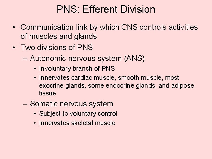 PNS: Efferent Division • Communication link by which CNS controls activities of muscles and PNS: Efferent Division • Communication link by which CNS controls activities of muscles and
