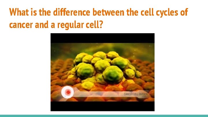 What is the difference between the cell cycles of cancer and a regular cell?