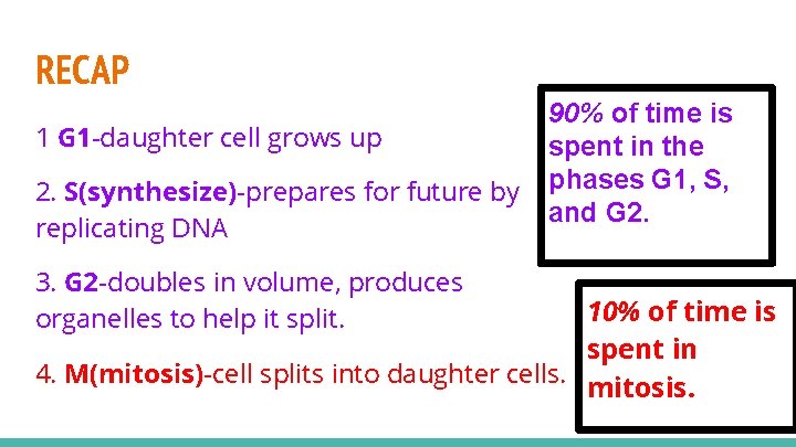 RECAP 1 G 1 -daughter cell grows up 2. S(synthesize)-prepares for future by replicating