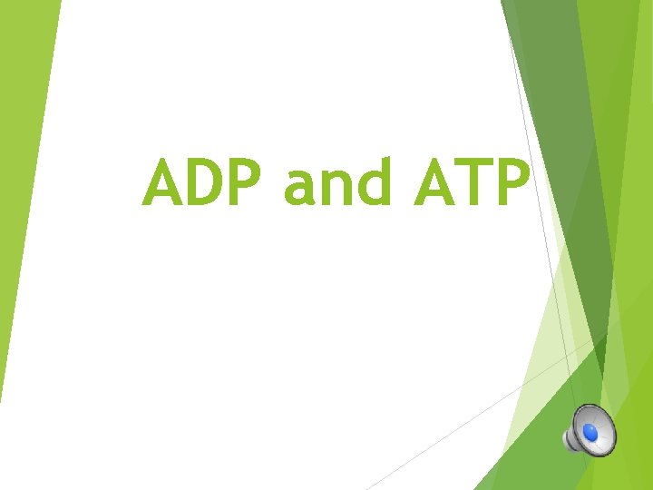 ADP and ATP 