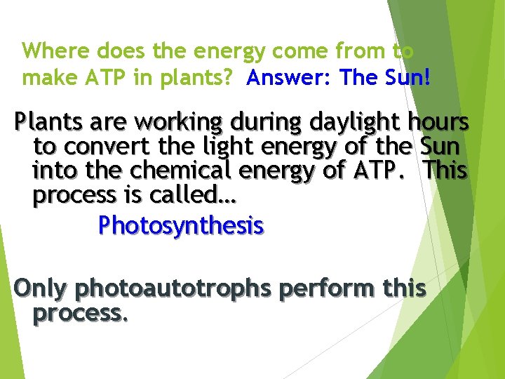 Where does the energy come from to make ATP in plants? Answer: The Sun!