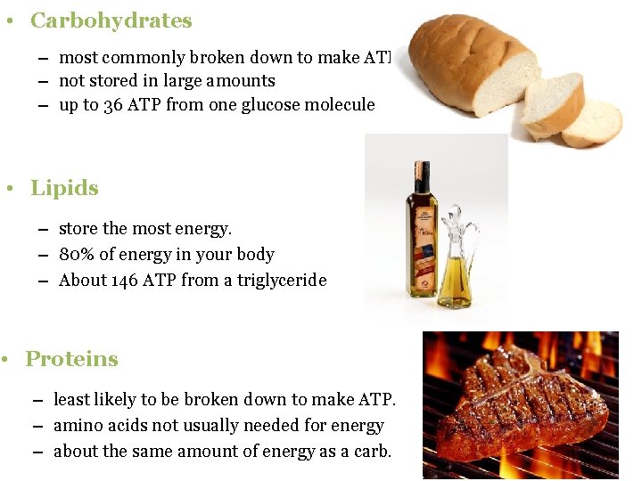  • Carbohydrates – most commonly broken down to make ATP. – not stored