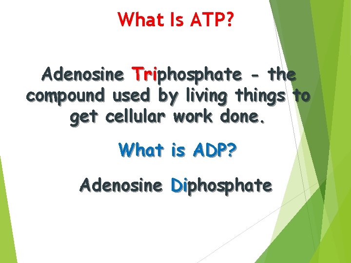 What Is ATP? Adenosine Triphosphate - the compound used by living things to get