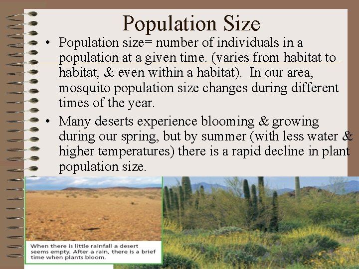 Population Size • Population size= number of individuals in a population at a given