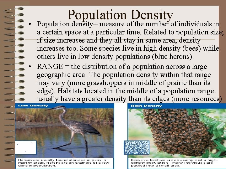 Population Density • Population density= measure of the number of individuals in a certain