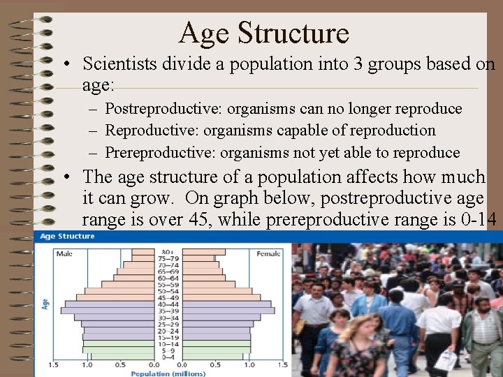 Age Structure • Scientists divide a population into 3 groups based on age: –