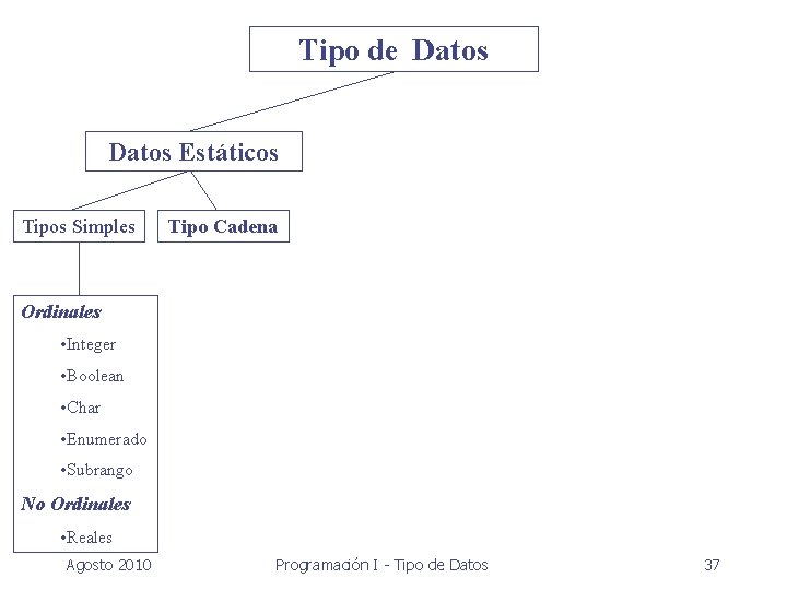 Tipo de Datos Estáticos Tipos Simples Tipo Cadena Ordinales • Integer • Boolean •