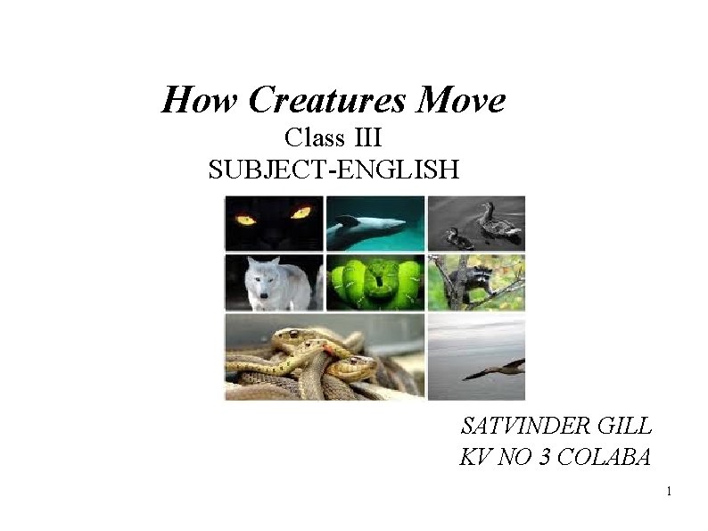 How Creatures Move Class III SUBJECT-ENGLISH SATVINDER GILL KV NO 3 COLABA 1 