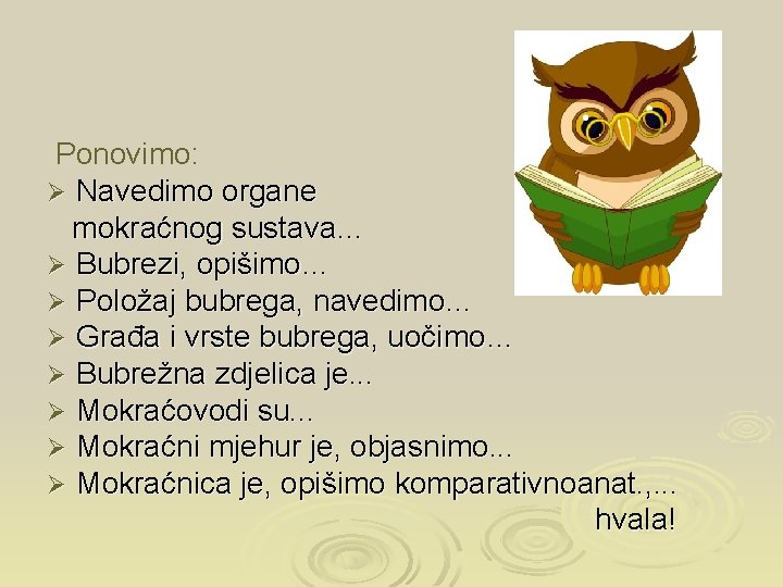 Ponovimo: Ø Navedimo organe mokraćnog sustava… Ø Bubrezi, opišimo… Ø Položaj bubrega, navedimo… Ø